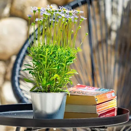 Villa Imortele Aria With Pool By Guide